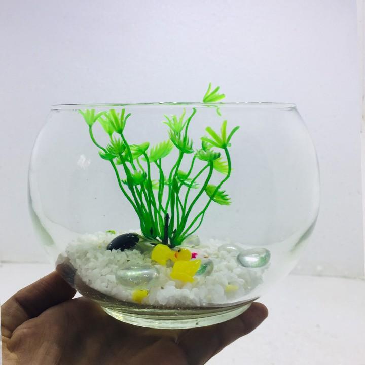Bể cá mini để bàn tròn - Tặng phụ kiện