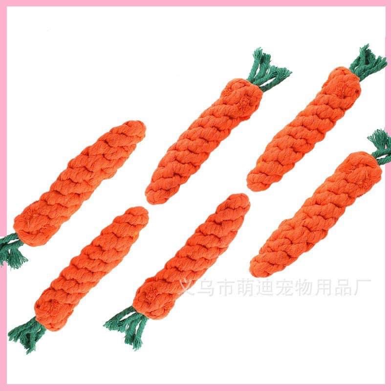 Đồ chơi dây thừng cho thú cưng