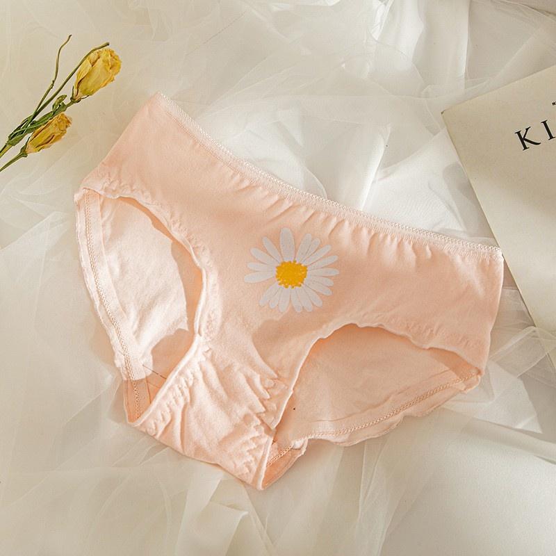 Quần Lót Nữ Cotton Cúc Họa Mi Thời Trang Ngang Eo . Hàng Loại Đẹp.