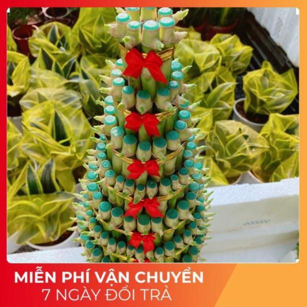 Trúc Phát Tài 7 tầng kèm dĩa