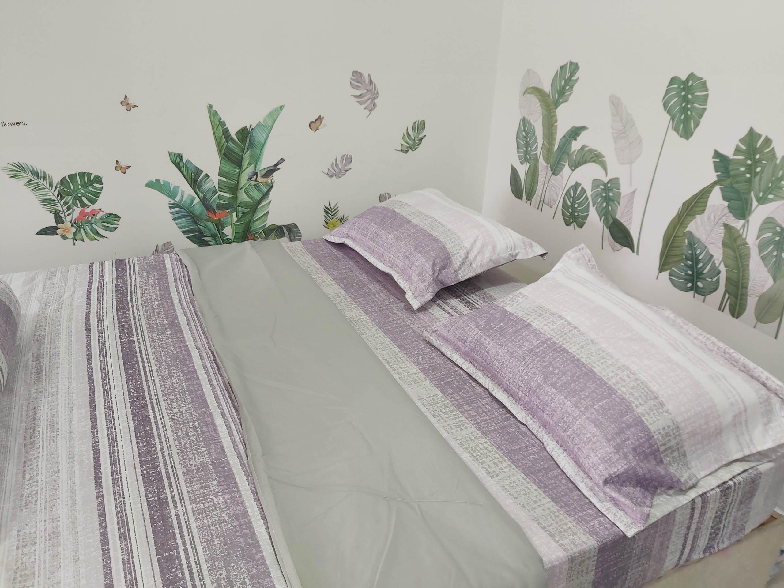 Bộ chăn ga gối vải microtex - Drap24 - CTL06