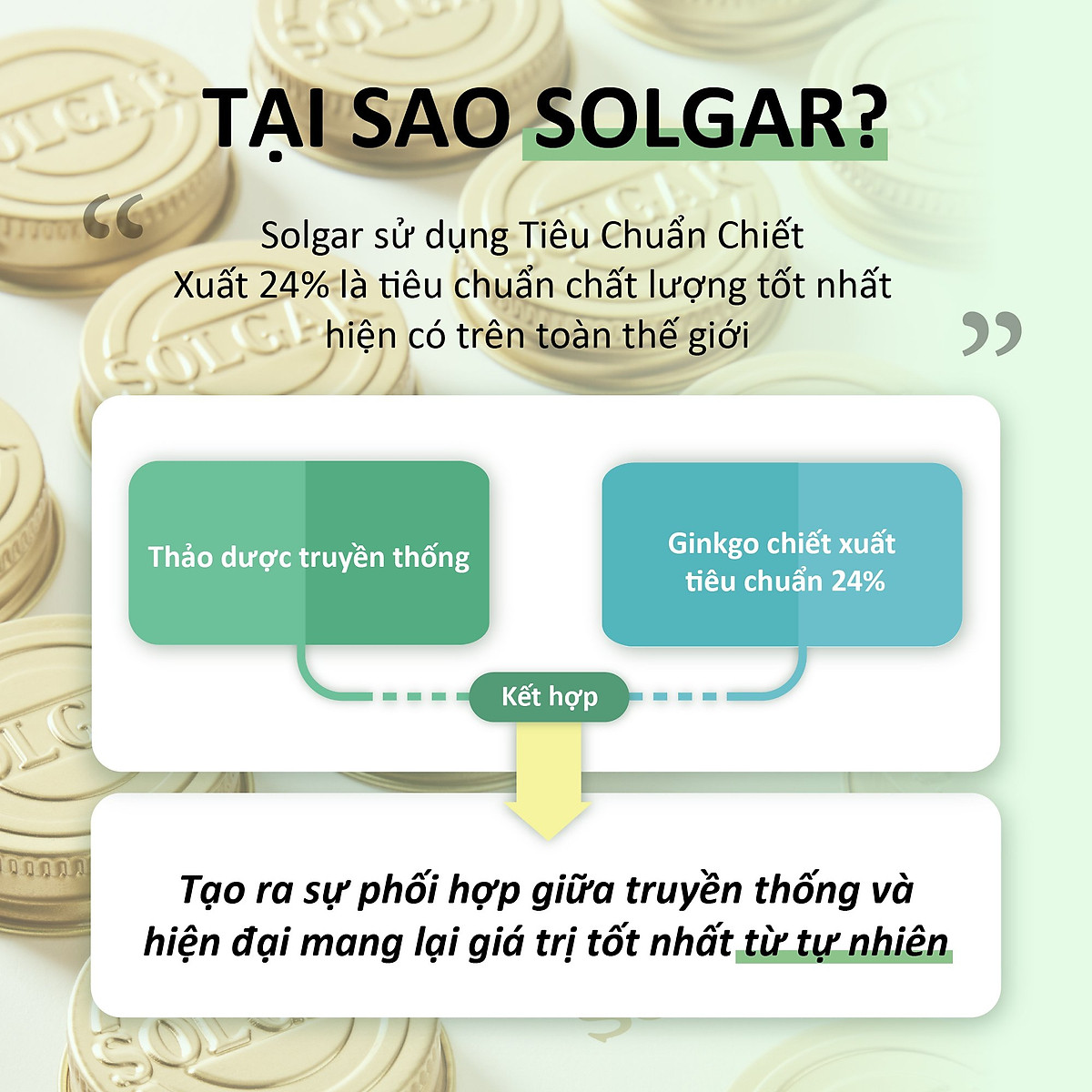 NHẬP KHẨU USA CHÍNH HÃNG - Viên Uống Bạch Quả Solgar Super Ginkgo Bibola - Viên Uống Bổ Não Giúp Tăng Cường Chức Năng Tuần Hoàn Não