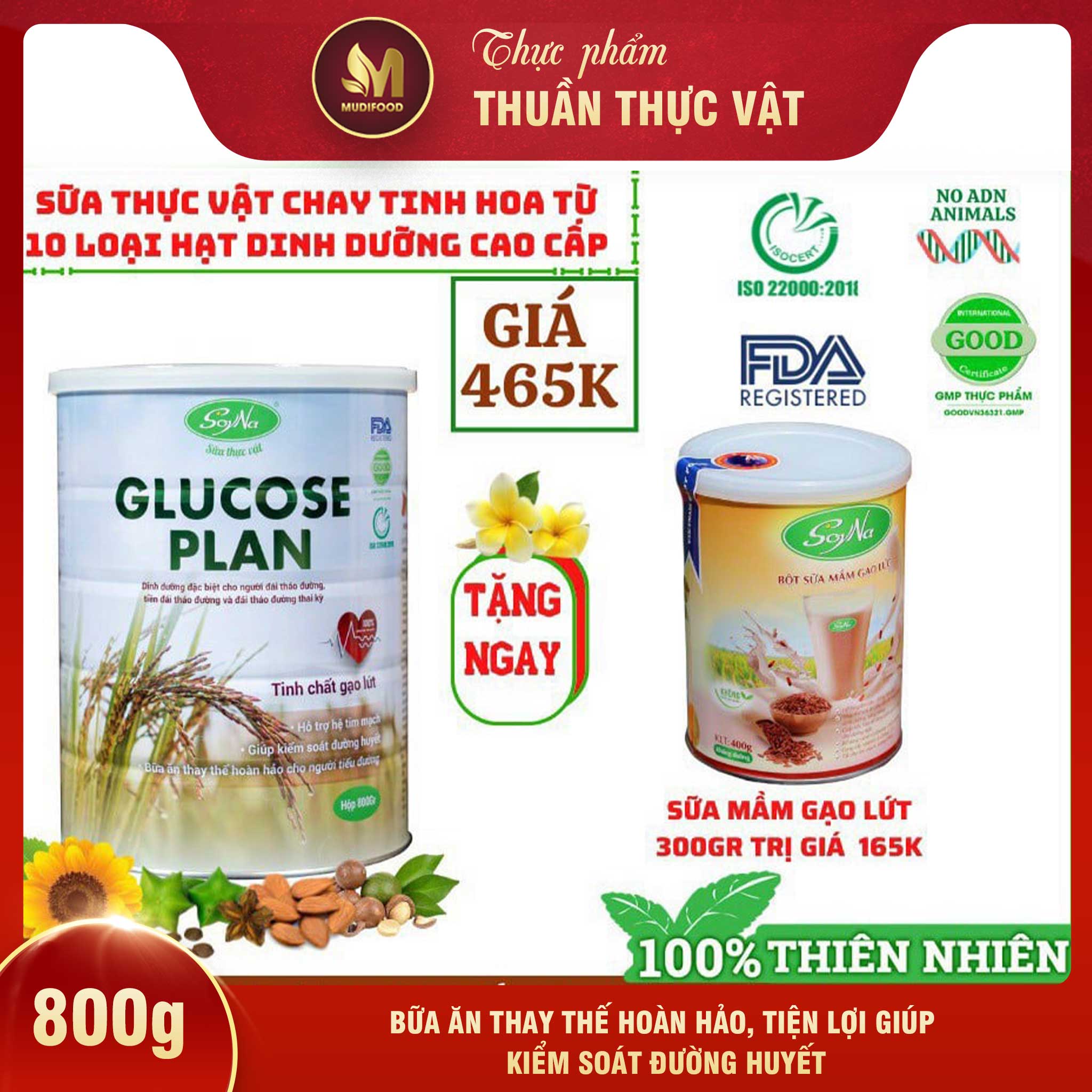 Sữa Hạt Glucose Plan Tinh Chất Gạo Lứt Soyna 800g - Bổ Sung Dinh Dưỡng cho Người Cao Tuổi, Tiểu Đường, Tim Mạch, Mỡ Máu, Xương Khớp, Kiểm Soát Đường Huyết, Bữa Ăn Thay Thế Hoàn Hảo Cho Người Bệnh