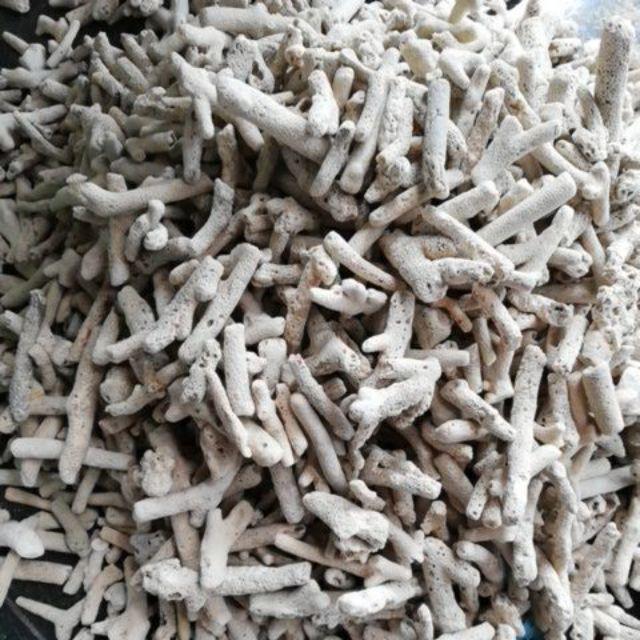 San hô vụn lọc nước tăng pH 1kg cho bể cá