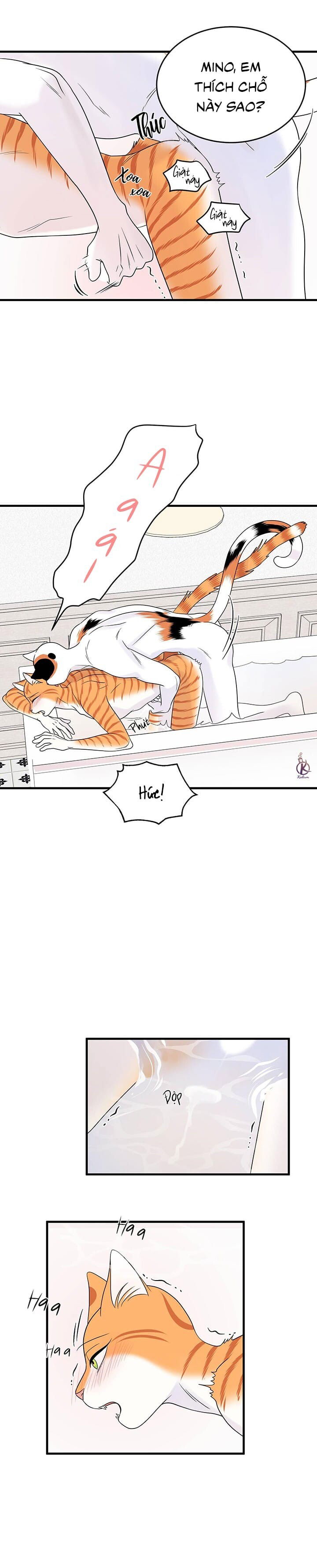 dự án xanh chapter 38 17