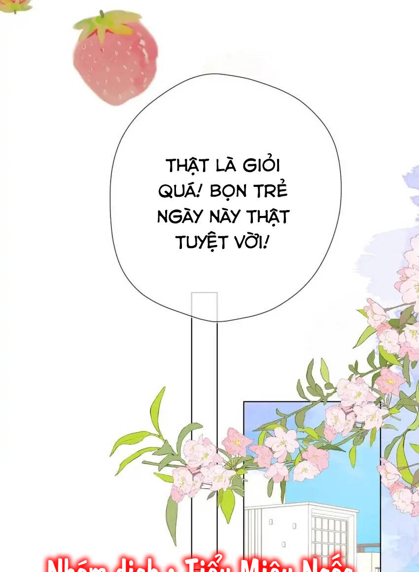 vì sao của tôi chapter 132 7