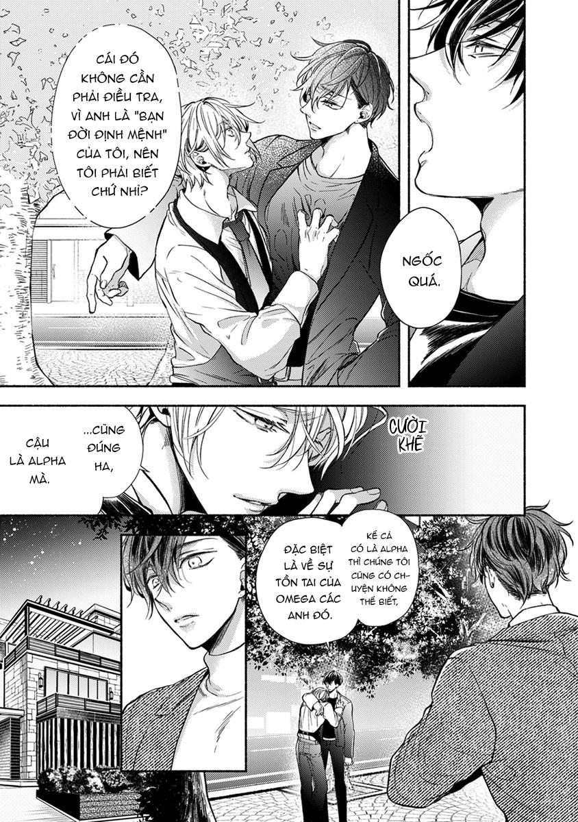omega giả vờ kiên cường đó là bạn tình của tôi chapter 1 39