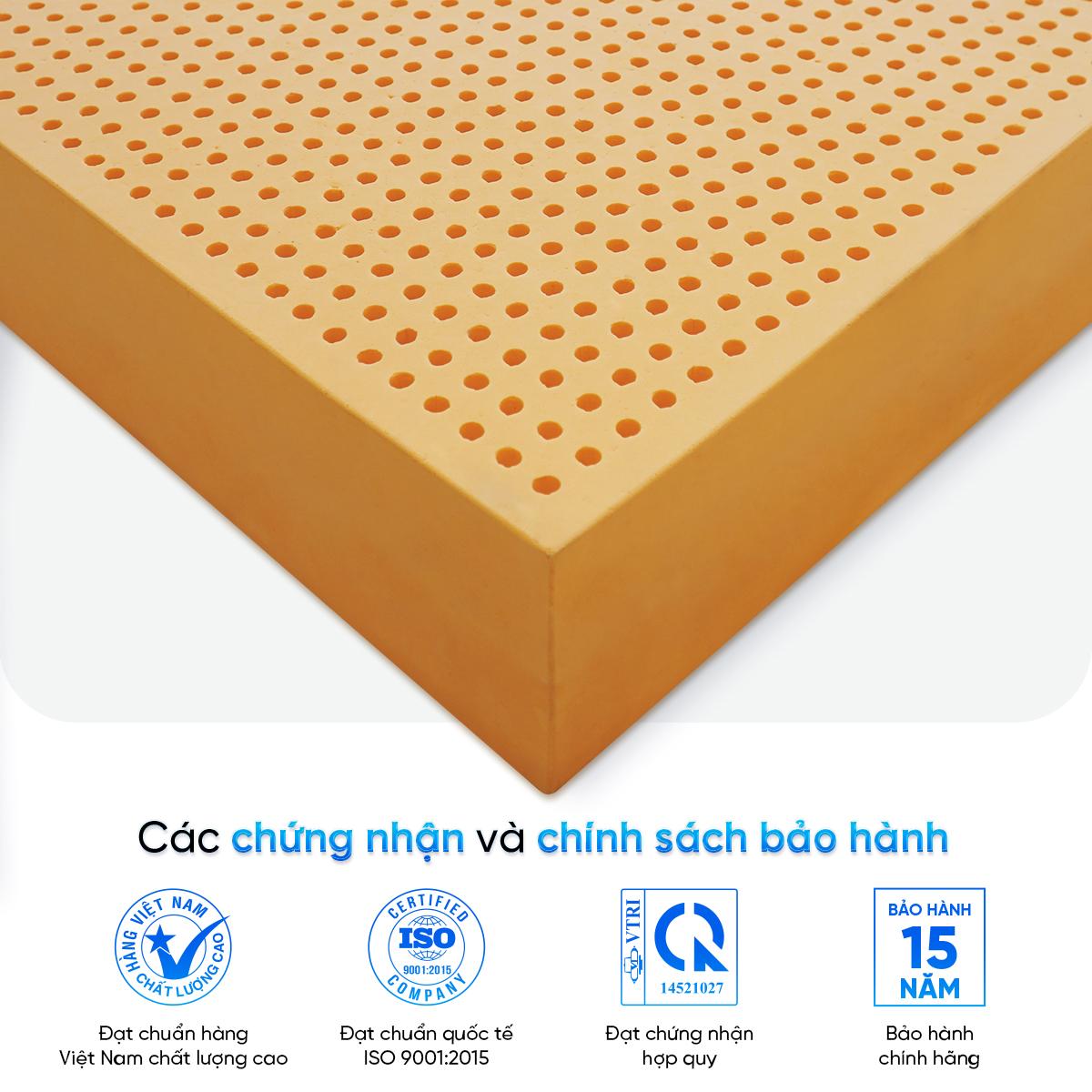 [Độ dày 5cm] - Nệm Cao Su Thiên Nhiên Latex Thuần Việt - Nâng Đỡ 7 Vùng, Thoáng Khí - Bảo Hành 15 Năm