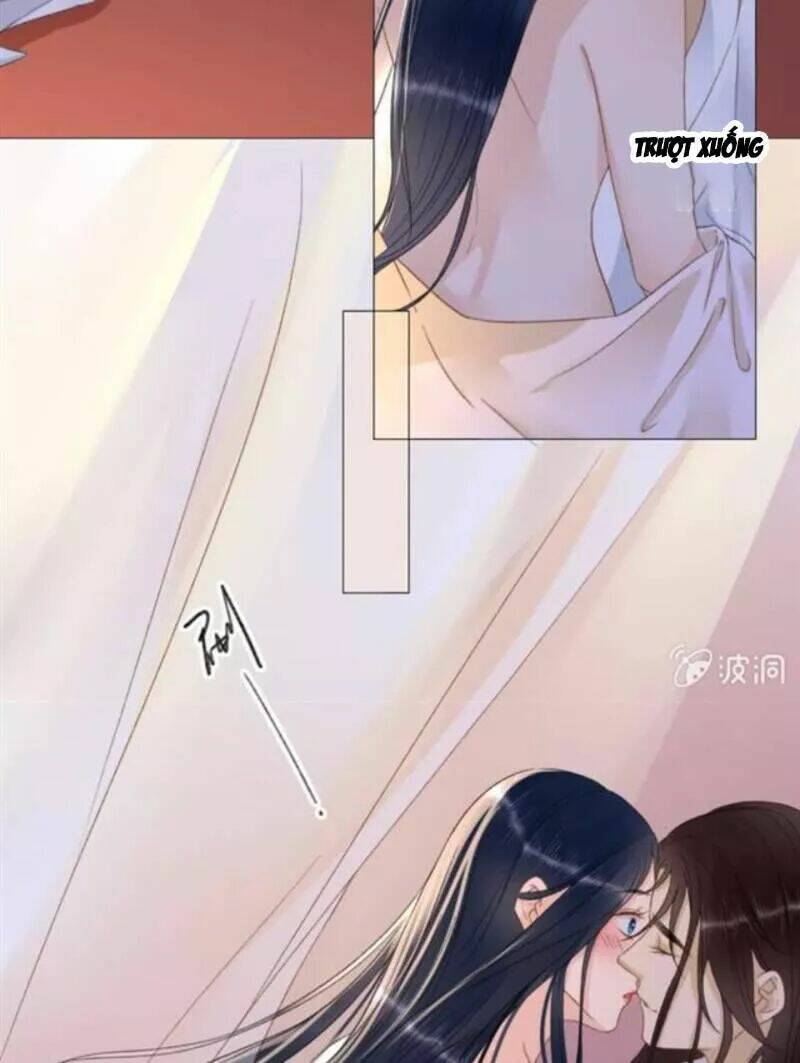 sủng phi của vương chapter 142 13