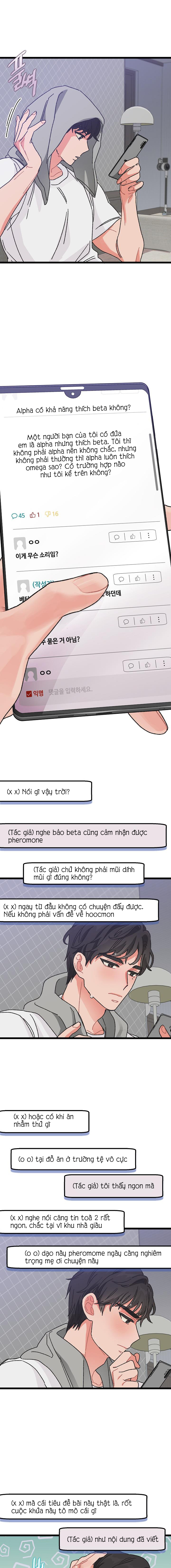 alpha thì có sao? chapter 1 12