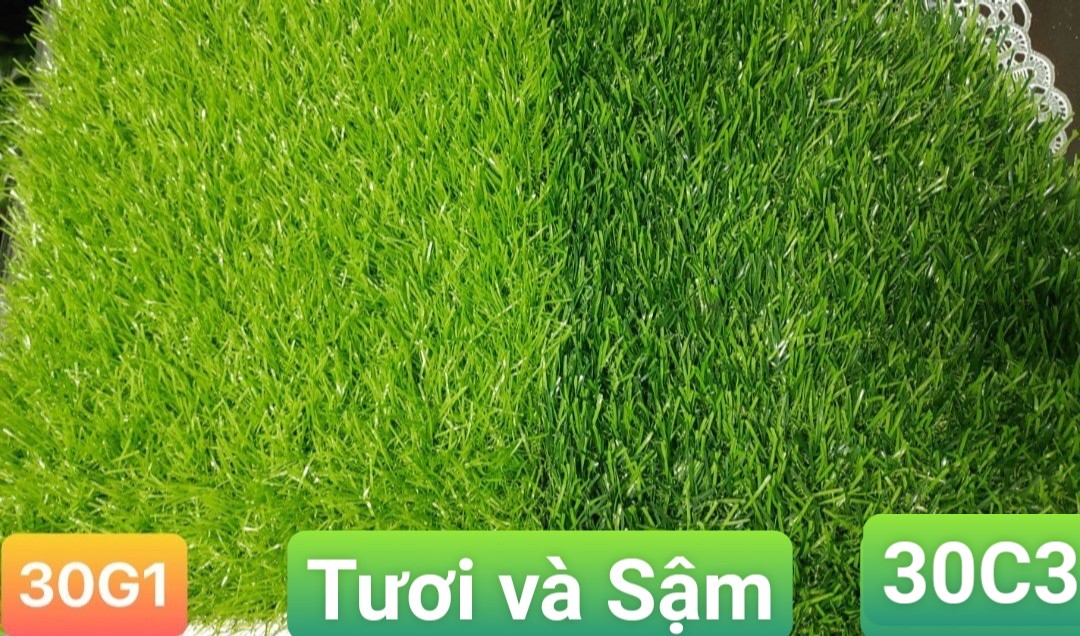 Combo 8m2 cỏ 3cm, đế tốt, sử dụng ngoài trời, sợi cỏ chống UV, phai màu, mục sợi