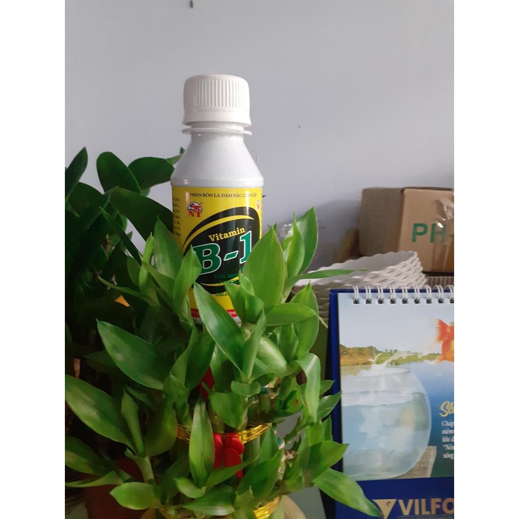Chai 100ml ra rễ cực mạnh vitamin B1.