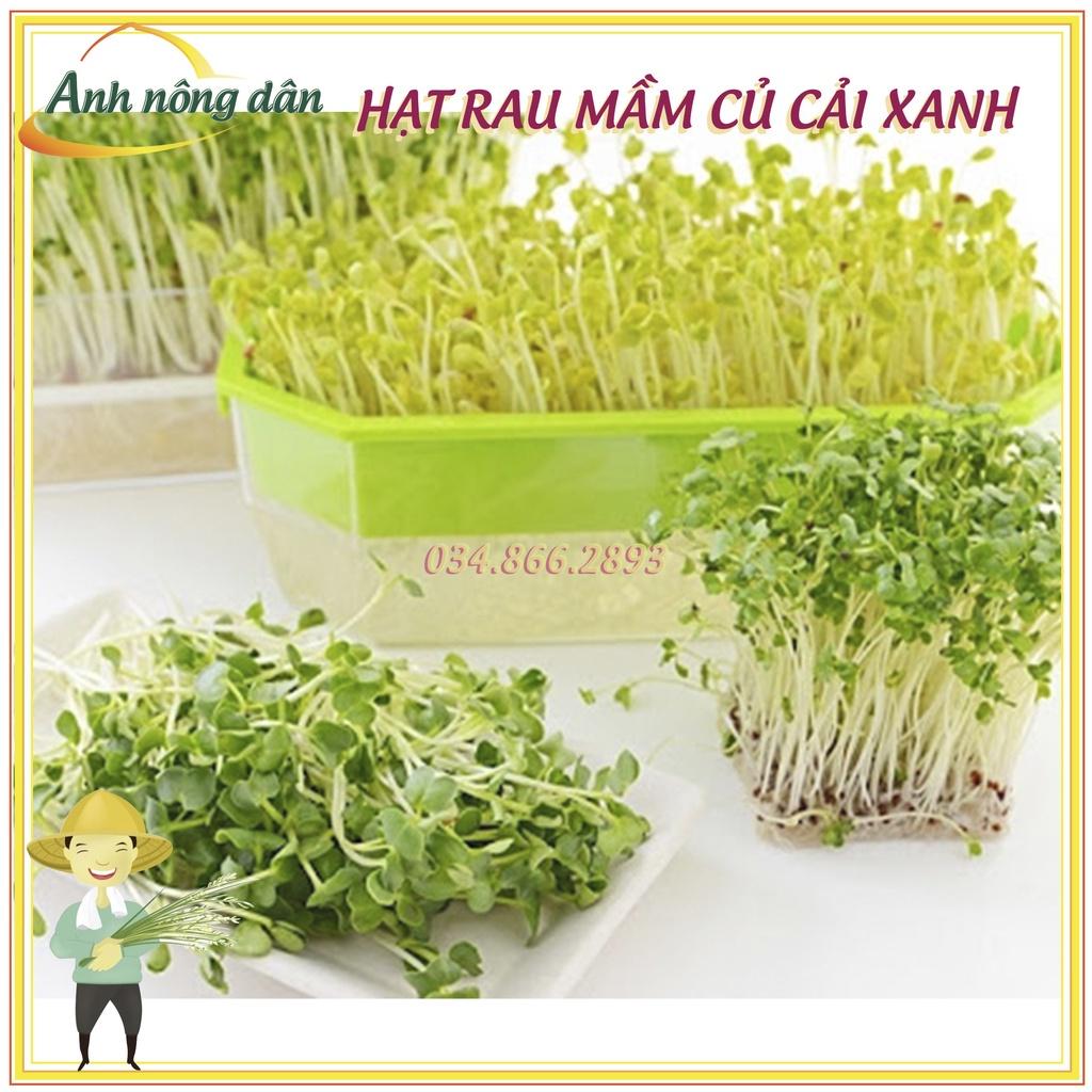 Gói 1kg Hạt rau mầm rau Củ cải Trắng - nảy mầm đều, 7 ngày thu hoạch