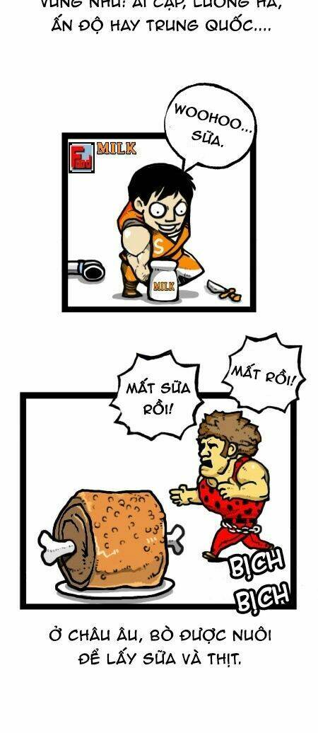 earth, human, and animal chapter 24 13