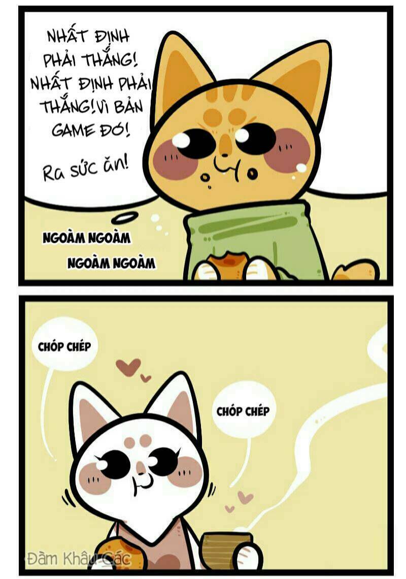 đời không như mình tưởng chapter 63 5