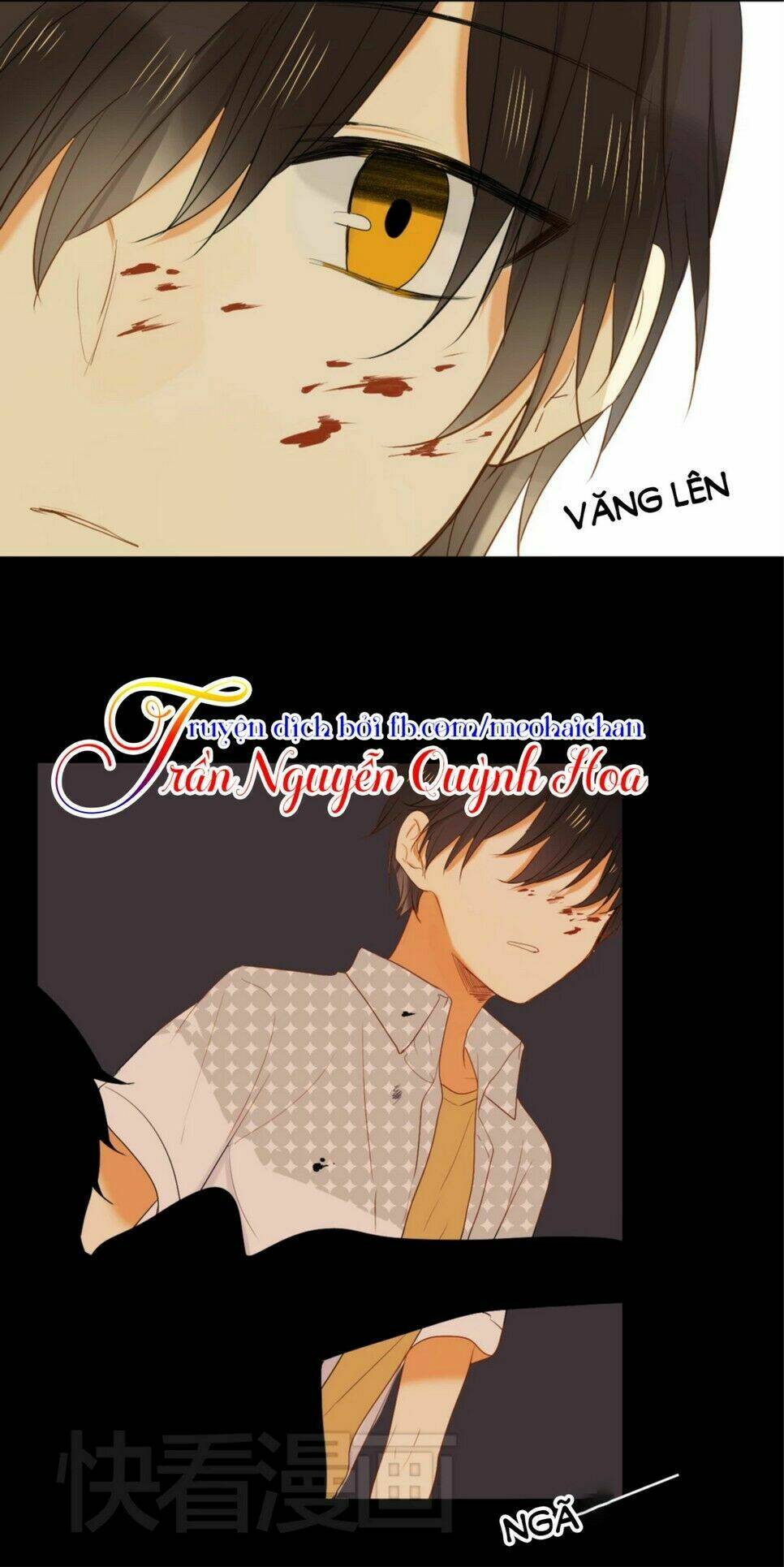 điều giáo quan hệ chapter 8 31