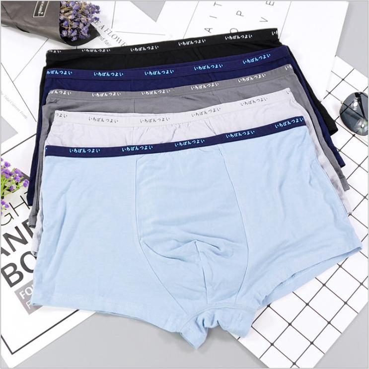 Hộp 5 Quần Lót Đùi Boxer Nam Tính Cotton Cao Cấp