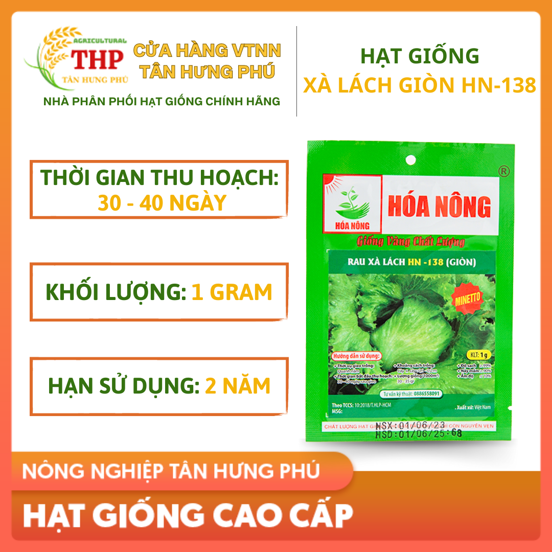 Hạt giống Xà Lách Giòn HN-138 | Hạt Giống | gói 1gr