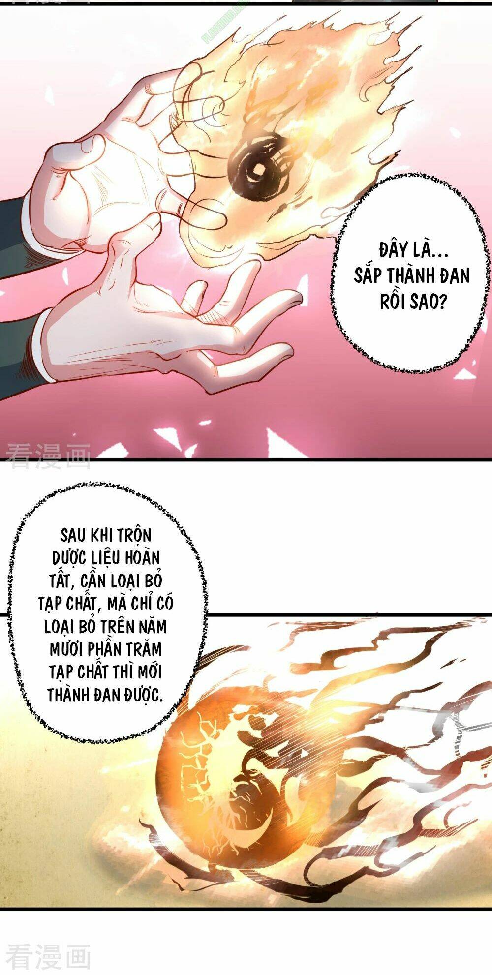 tối cường đại biểu hoàng kim thận chapter 10 24