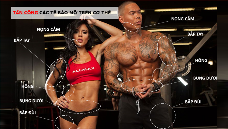 Tấn công các tế bào mỡ khu vực bụng dưới, hông, bắp tay, bắp đùi, nọng cằm