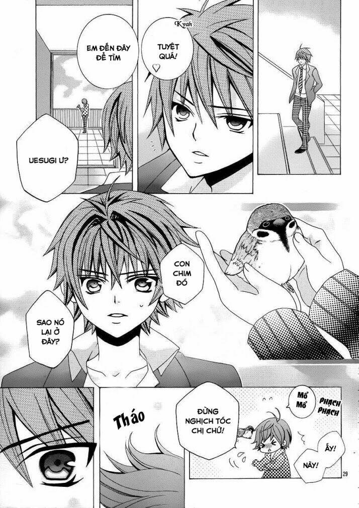 cuộc gặp gỡ diệu kỳ chapter 31 28