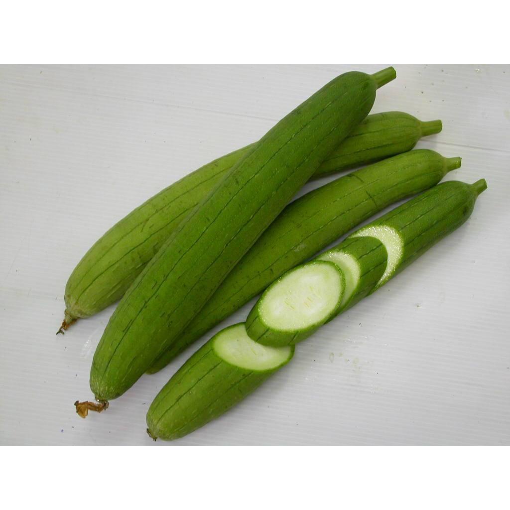 Hạt giống mướp hương lai F1 Thái Lan
