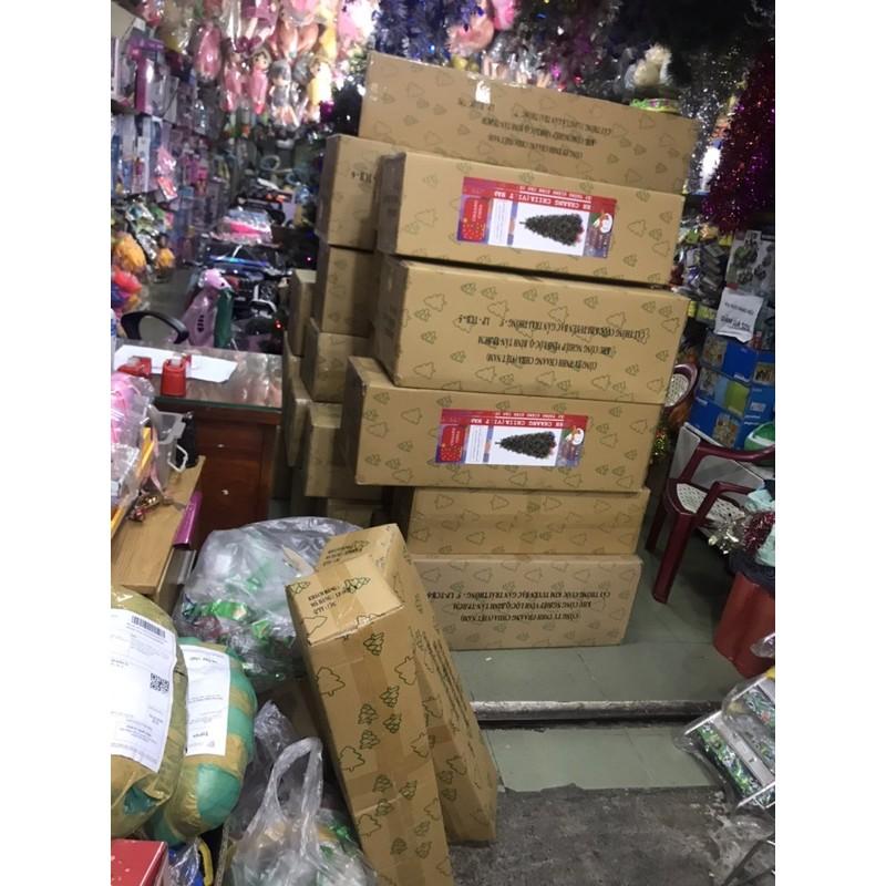 Cây thông 1,5m gắn chùm quả đỏ hình chụp tại shop