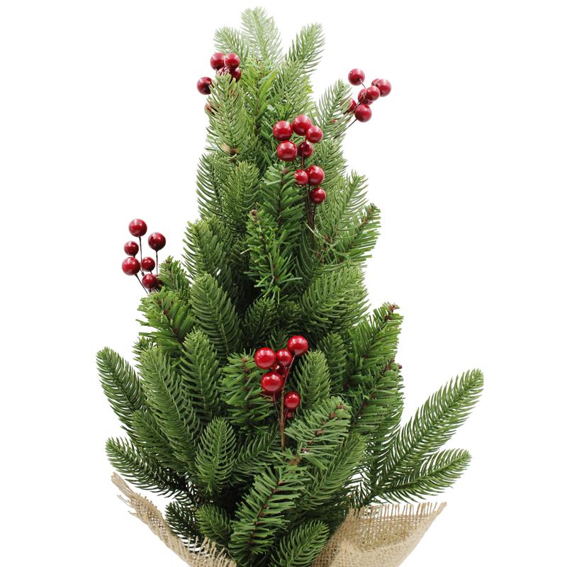Cây Thông Mini Gắn Trái Đỏ 60cm - Chaang Chiia LP-TSE-60CM