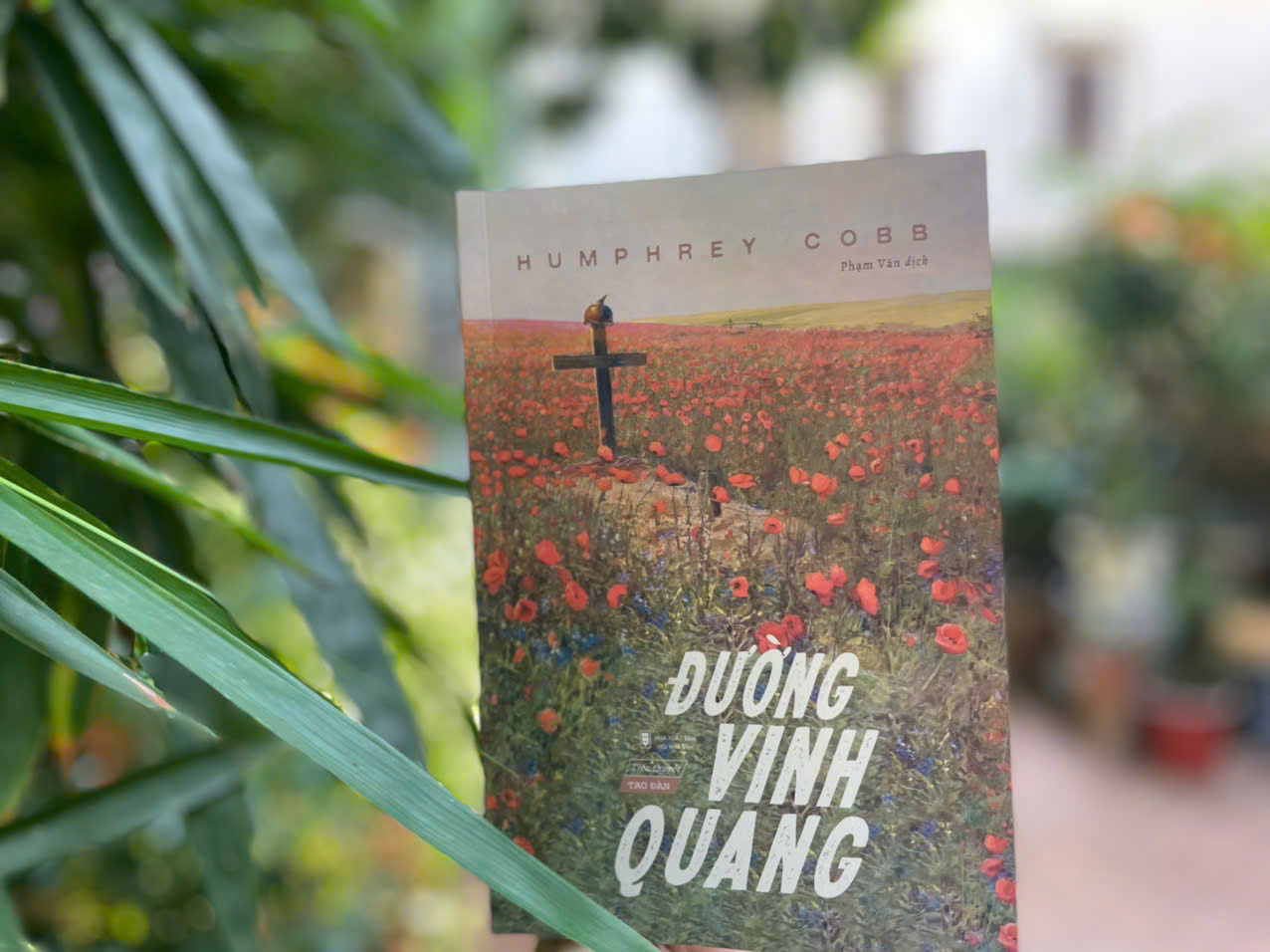 [Sách] Đường Vinh Quang - Humphrey Cobb - Sách Tao Đàn