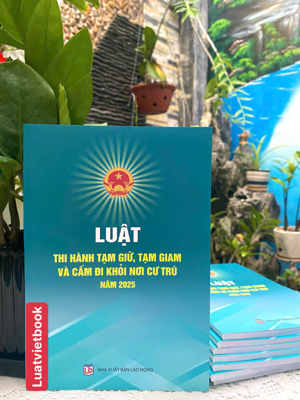 Luật Thi Hành Tạm Giữ, Tạm Giam Và Cấm Đi Khỏi Nơi Cư Trú Năm 2025