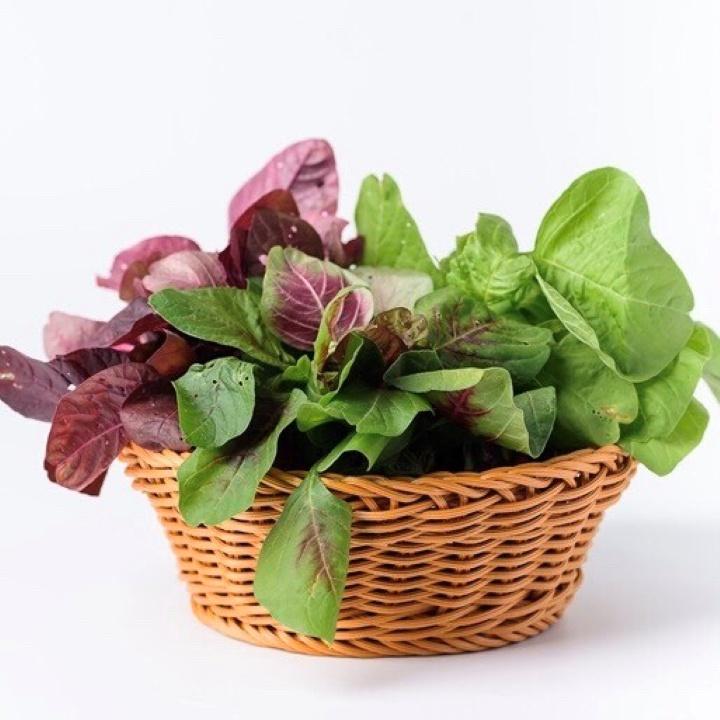 Hạt giống HN Giống dền ba màu gói 20gr