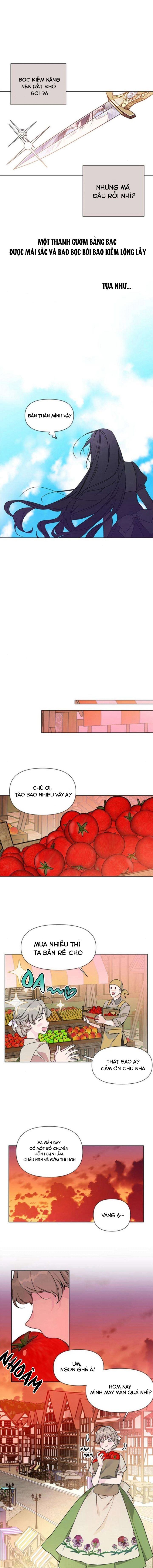 cách hiệp sĩ sống như một tiểu thư chapter 3 11