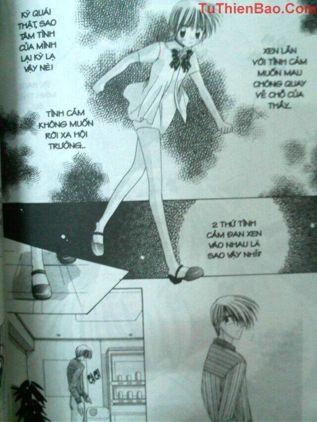 nguyện ước dưới ánh sao chapter 8 86