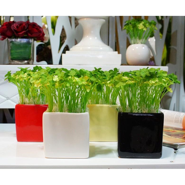 Nhánh cỏ may mắn giả trang trí