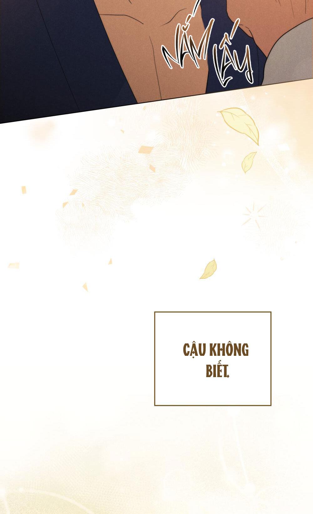 NGƯỜI TÌNH BÍ MẬT chapter 6