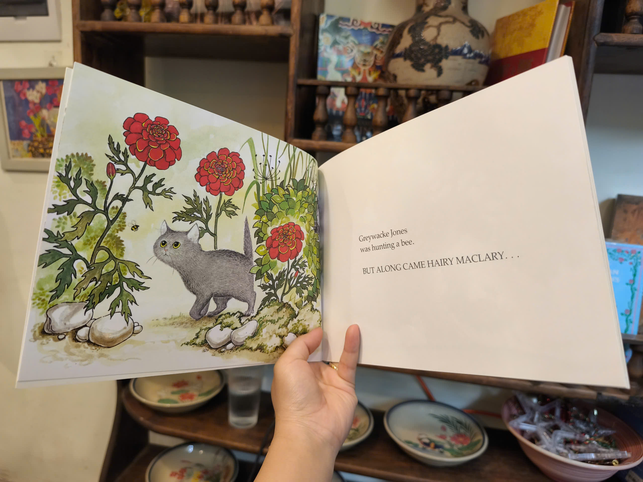 Sách - Hairy Maclary Scattercat by Lynley Dodd - Sách thiếu nhi tiếng anh