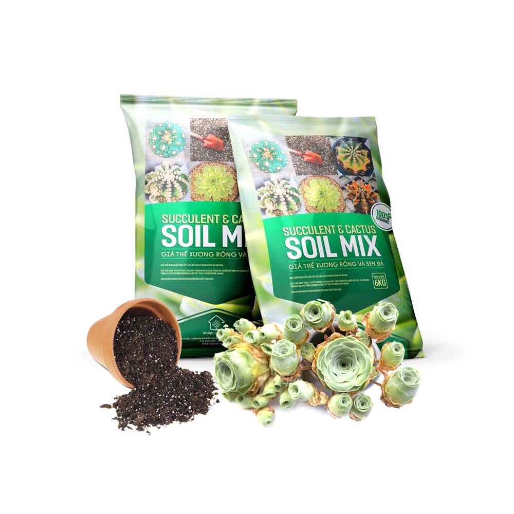 Giá thể trồng sen đá, xương rồng cao cấp Soil Mix bao 6Kg