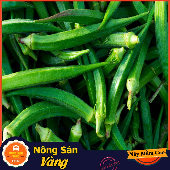 Hạt giống Đậu Bắp Cao Sản ( Gói 20 Gram ) - Nông Sản Vàng