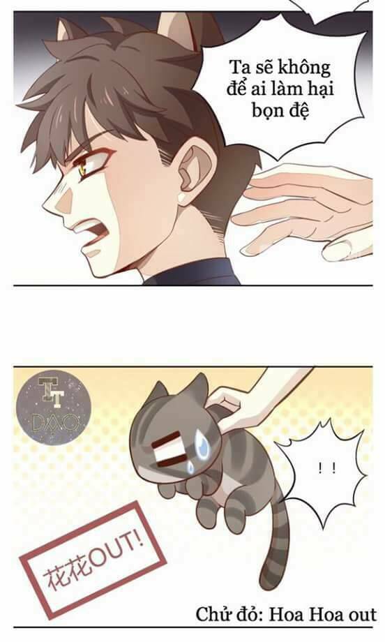 dưới móng vuốt mèo chapter 1 28