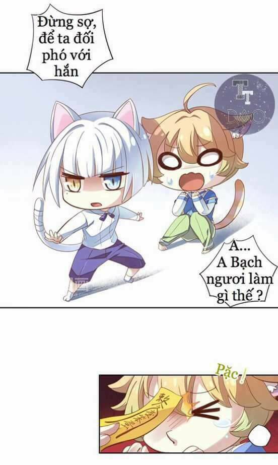 dưới móng vuốt mèo chapter 1 12