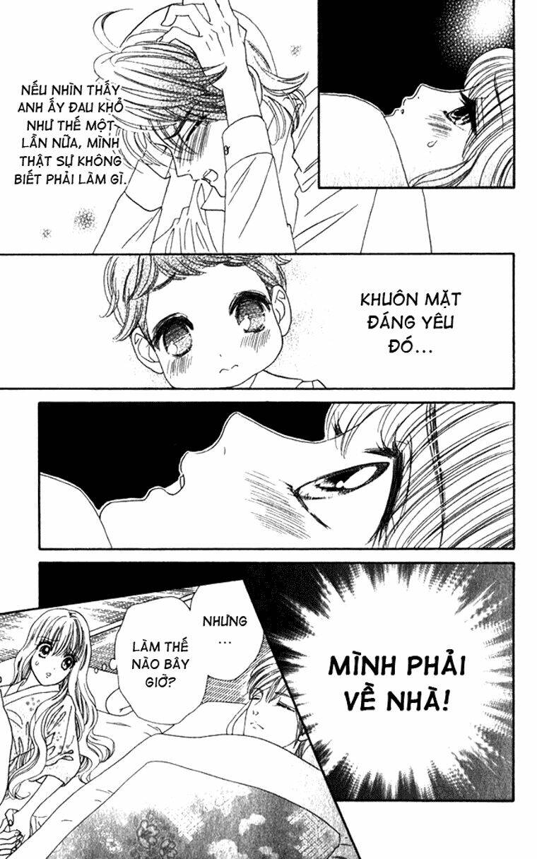 hoa hồng đỏ chapter 13 7