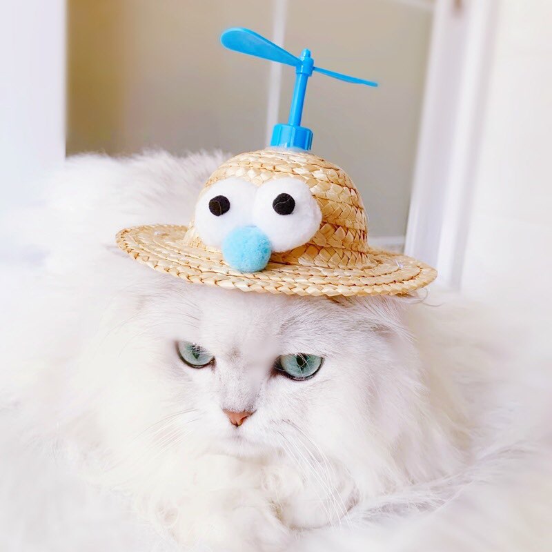 Mũ cói chống nắng cho Boss- giao ngẫu nhiên