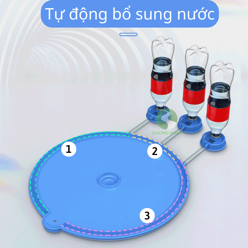 Máy ấp trứng gà mini thông minh Dương Ninh tự đảo hiện đại MAT71