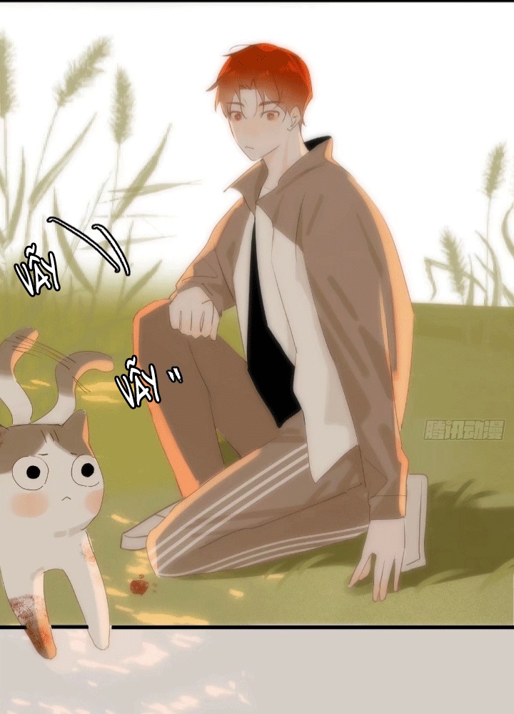 đêm đầy sao nói với em chapter 17 7