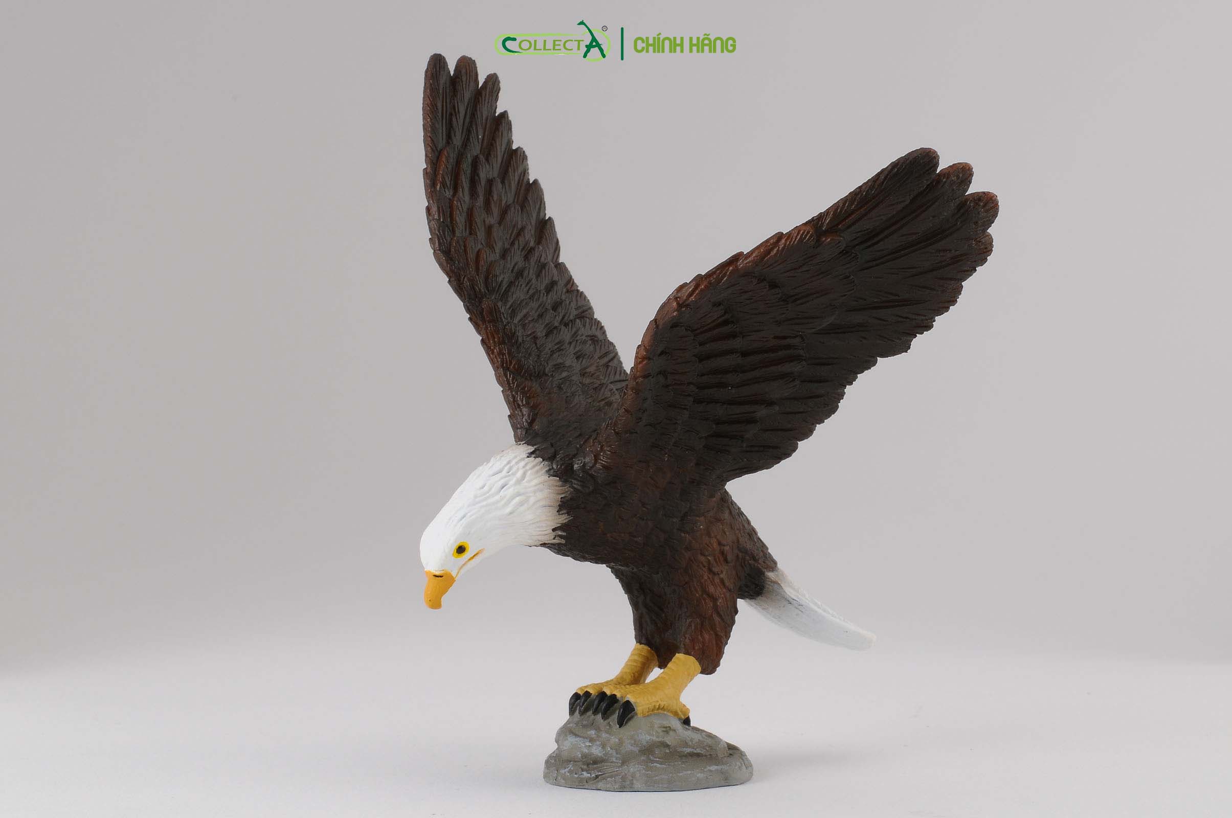 Mô hình thu nhỏ: Đại Bàng Đầu Trắng - American Bald Eagle, hiệu: CollectA, mã HS 9651440[88383] -  Chất liệu an toàn cho trẻ - Hàng chính hãng