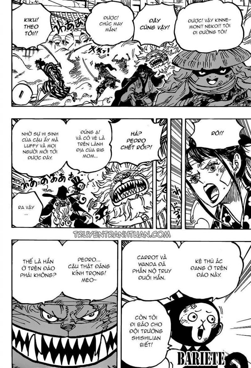 đảo hải tặc - one piece chapter 1012 4