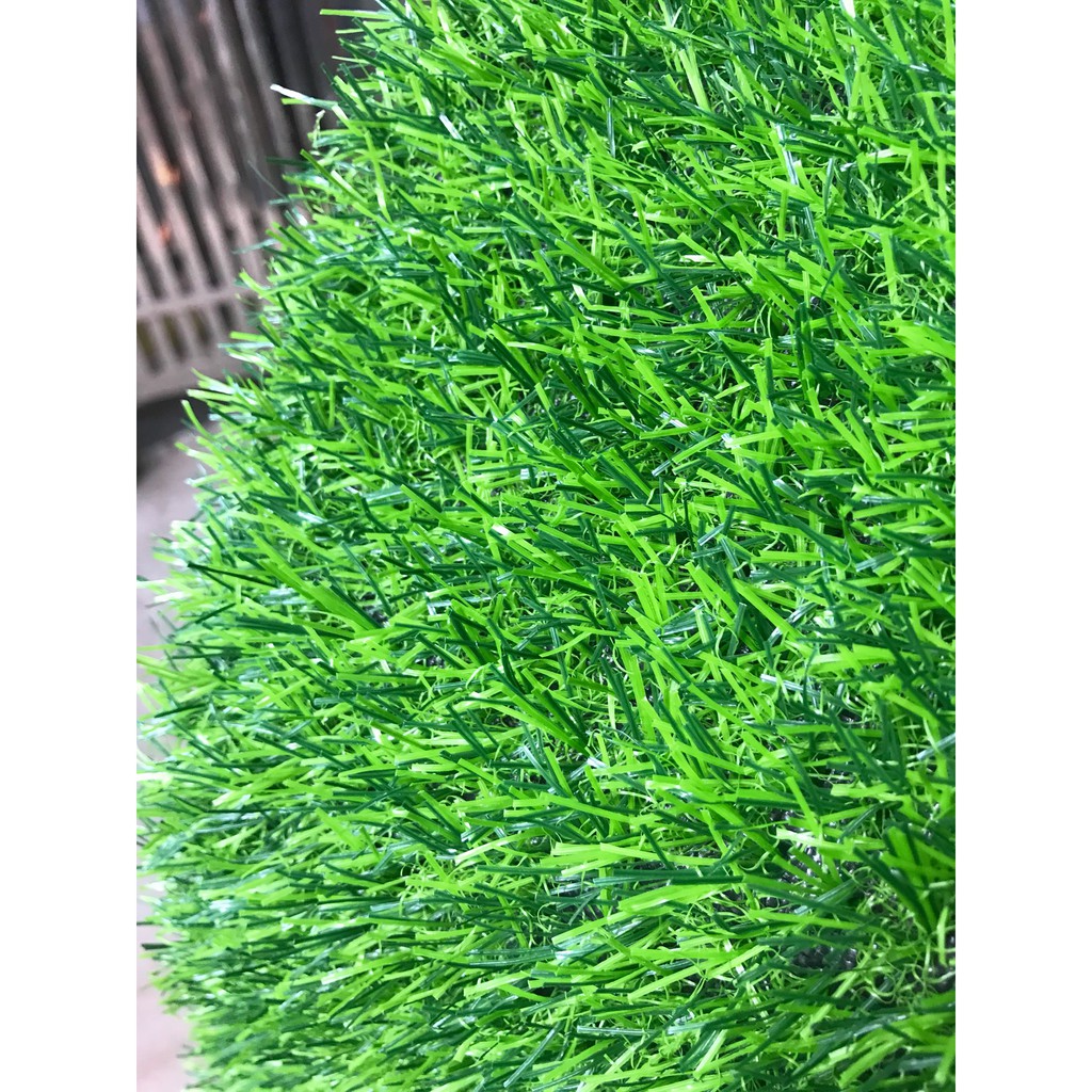 Thảm cỏ trải sàn 2,5cm