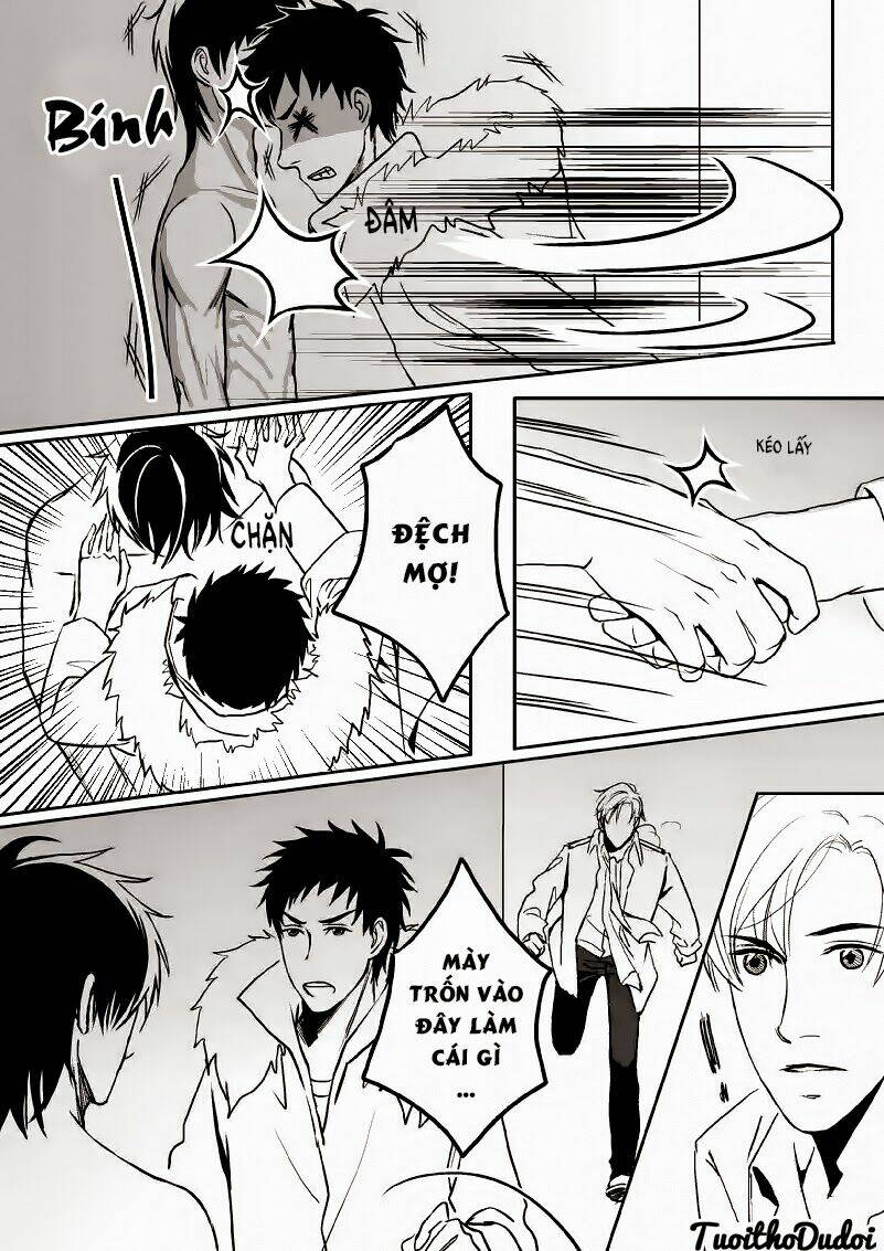 sự mê hoặc của sói chapter 22 8