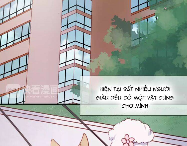 lượm được 1 tiểu hồ ly chapter 78 3