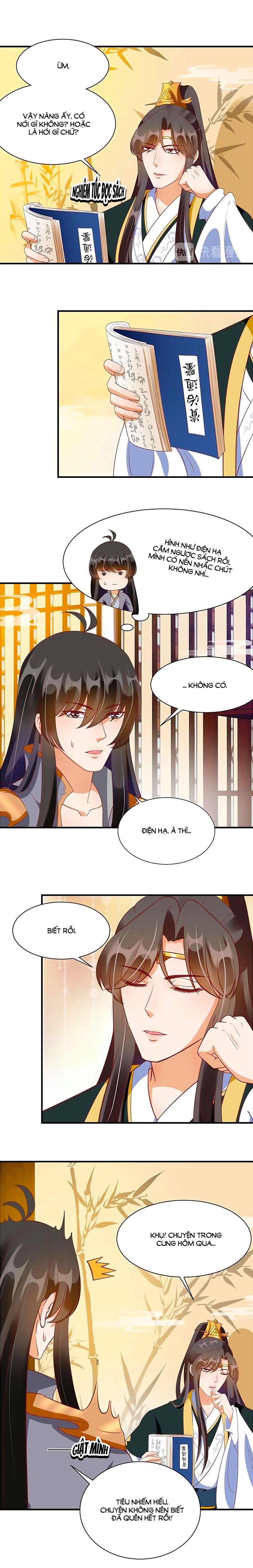 thịnh thế lê hoa điện chapter 76 4